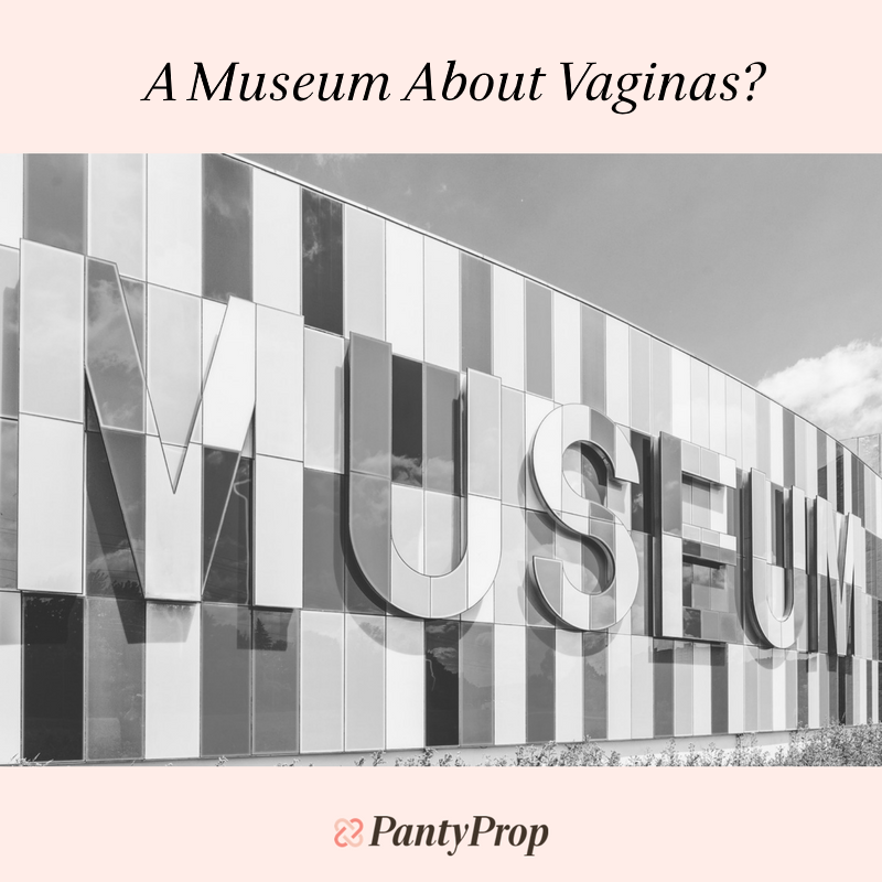 A Museum About Vaginas?