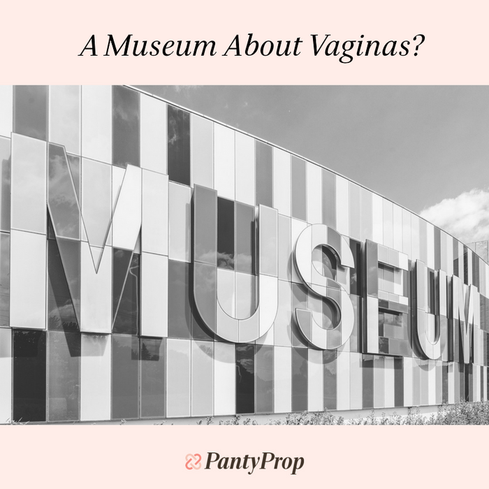 A Museum About Vaginas?