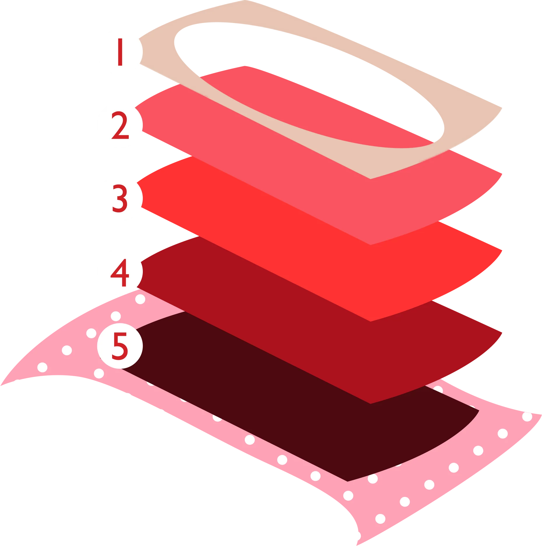 Period Underwear Explained: Do They Really Work?