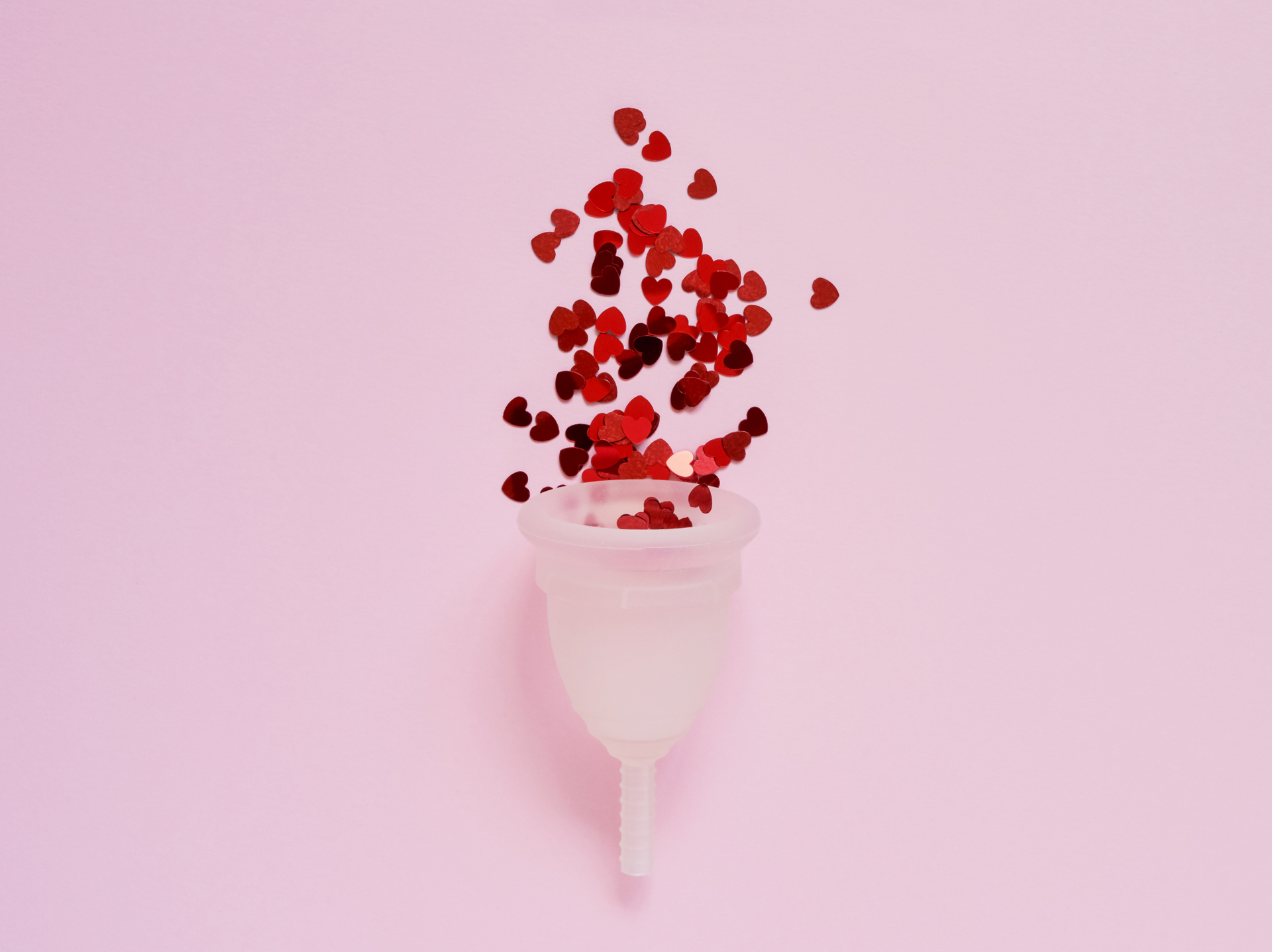 Menstrual Cycle Basics: What You Need to Know