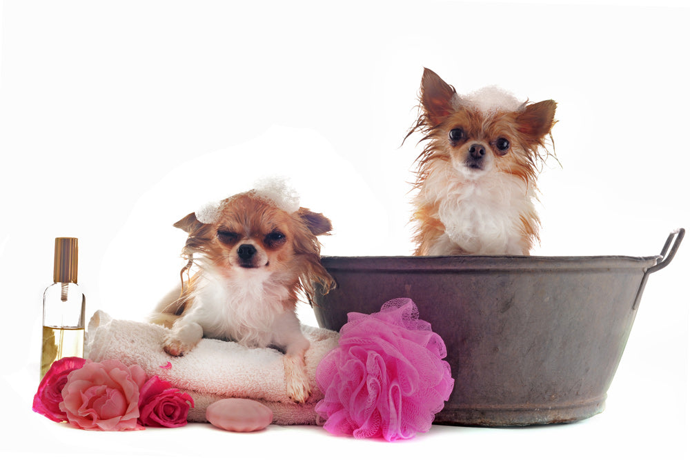 Cases of Bad Feminine Hygiene
