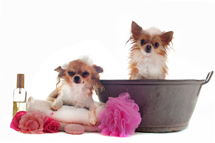 Cases of Bad Feminine Hygiene