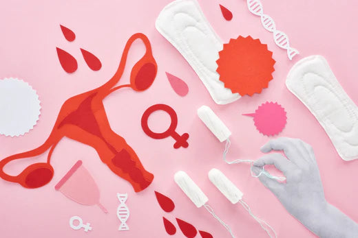 A Comprehensive History of Menstruation: Myths, Practices, and Progress