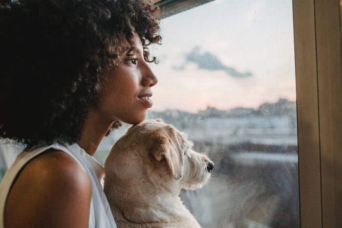 woman with dog looking out the window showing cloudy weather